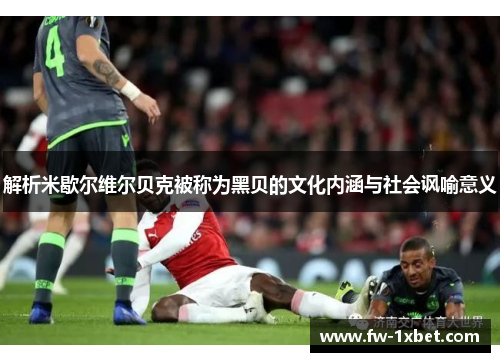 解析米歇尔维尔贝克被称为黑贝的文化内涵与社会讽喻意义 解析米歇尔维尔贝克被称为黑贝的文化内涵与社会讽喻意义