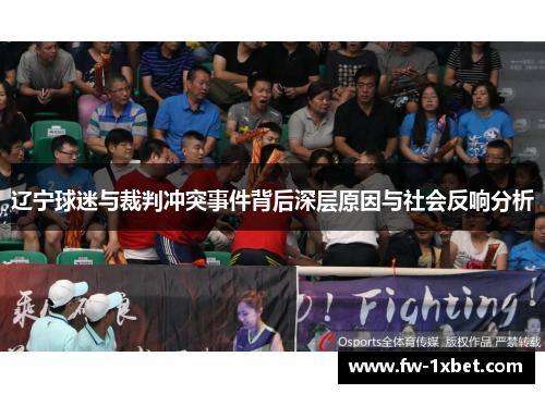 辽宁球迷与裁判冲突事件背后深层原因与社会反响分析 辽宁球迷与裁判冲突事件背后深层原因与社会反响分析