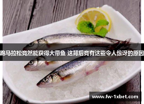 跑马拉松竟然能获得大带鱼 这背后竟有这些令人惊讶的原因 跑马拉松竟然能获得大带鱼 这背后竟有这些令人惊讶的原因