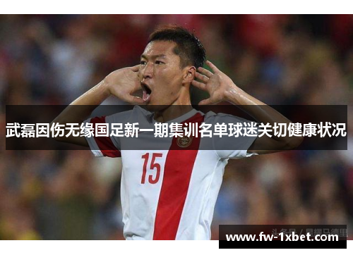 武磊因伤无缘国足新一期集训名单球迷关切健康状况