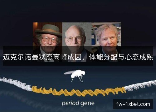 迈克尔诺曼状态高峰成因，体能分配与心态成熟